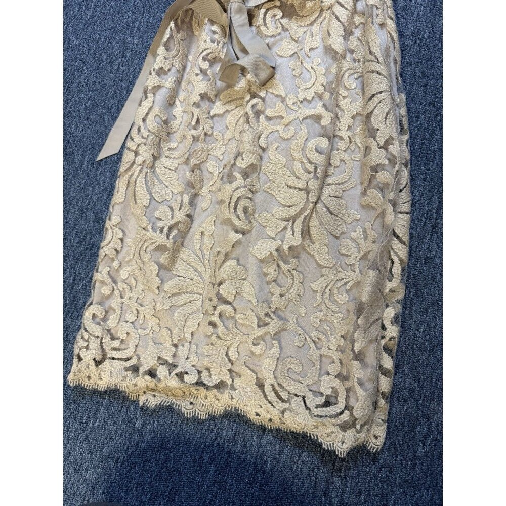Tadashi Shoji Nude Beige Floral Embroidery Lace Overlay Pencil S/S Dress Size 6P - Picture 5 of 6